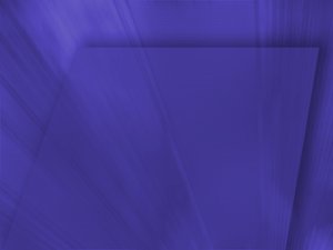 漏洞检测